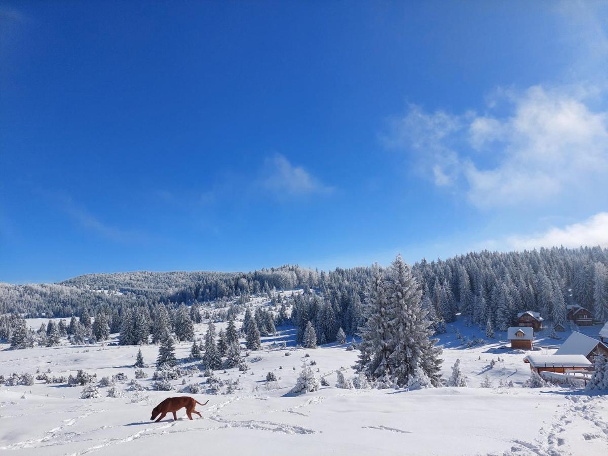 Gold Hill Villa Sekulic Kültér fotó